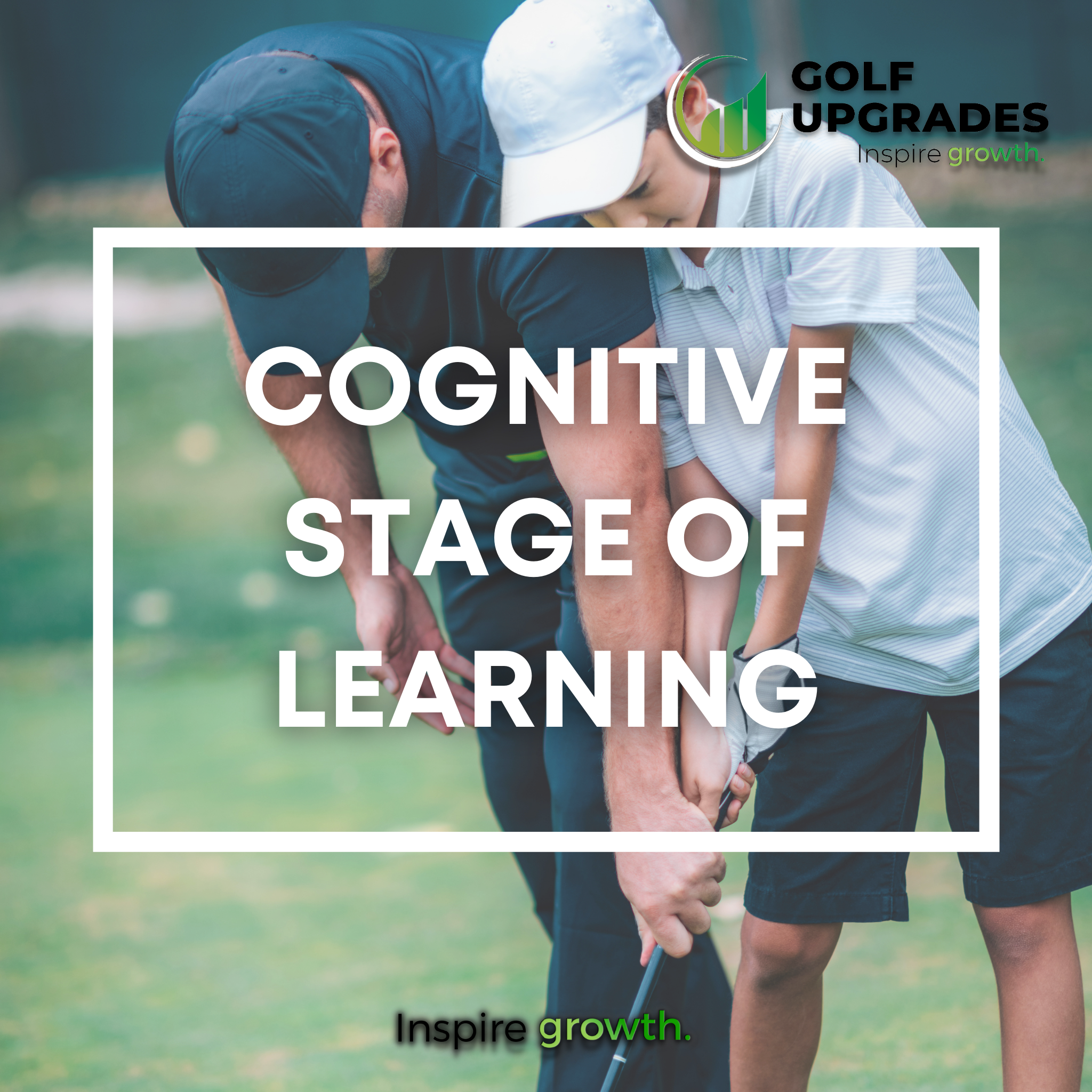 The hotsell cognitive stage